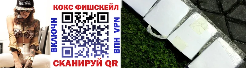 COCAIN Fish Scale  Большой Камень 