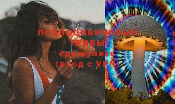 spice Слюдянка