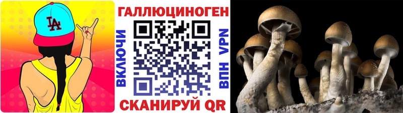 Псилоцибиновые грибы GOLDEN TEACHER  нарко площадка какой сайт  Большой Камень 